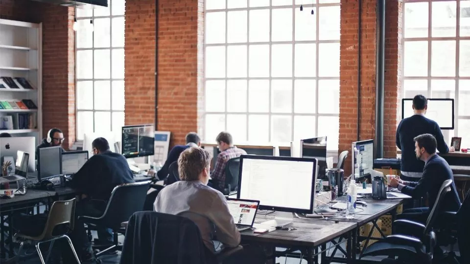 Как выбрать веб-студию в Сосновке по кейсам