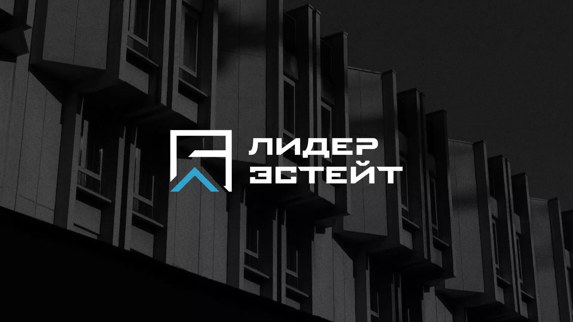 Разработка логотипа агентства недвижимости «Лидер Эстейт» в Сосновке